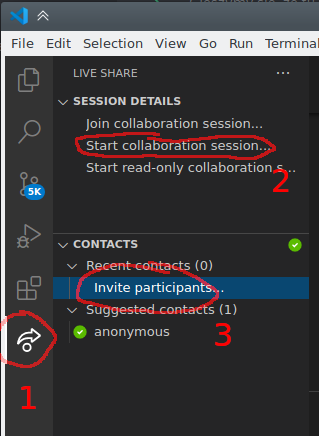 vscode_ls.png